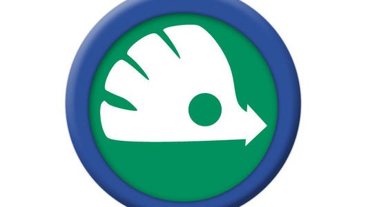 Skoda-New-logo